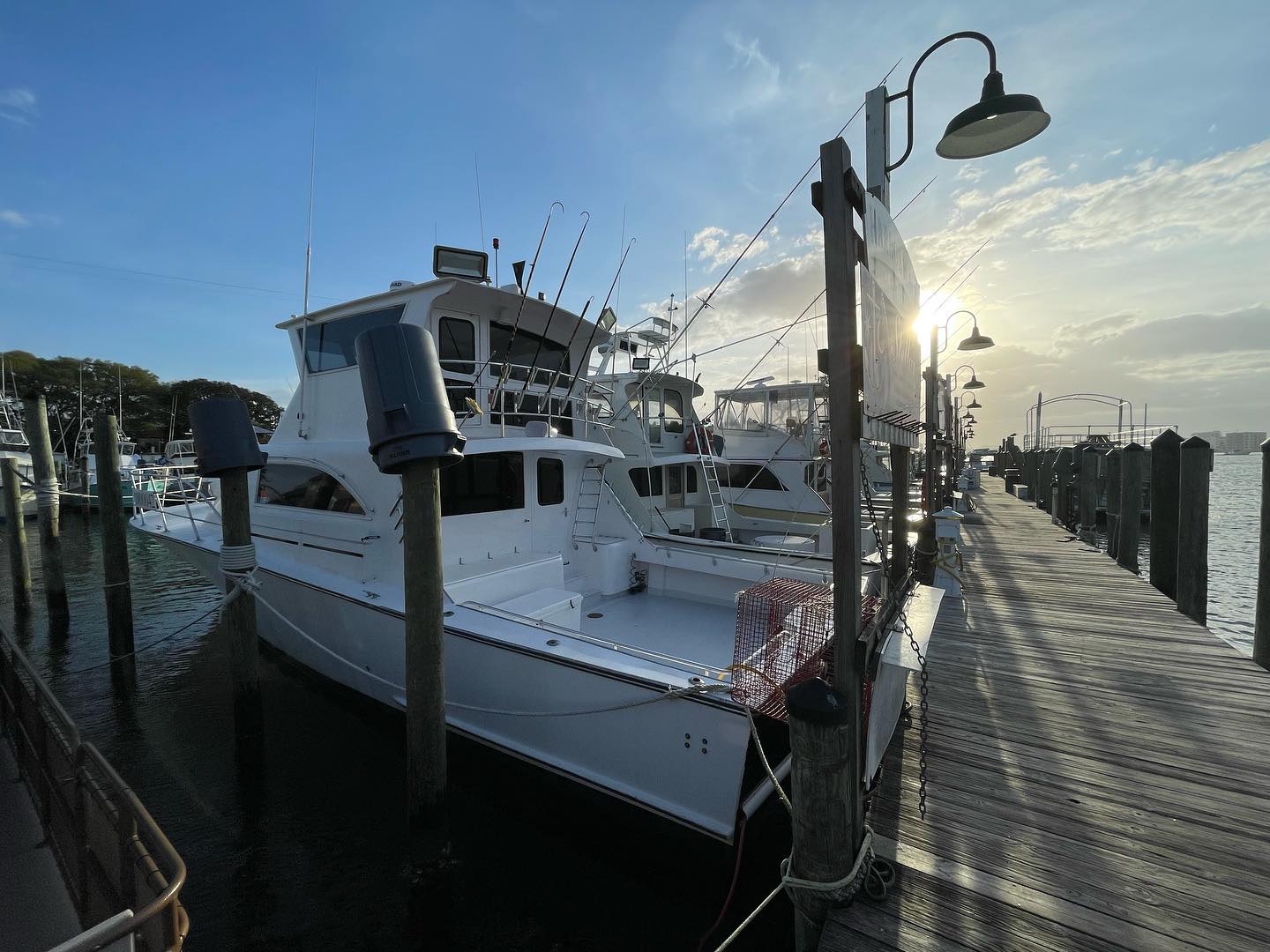 Charter Boat Stelluna - Back View