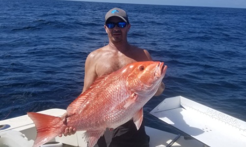 6-Hour Offshore Bottom Fishing Trip
