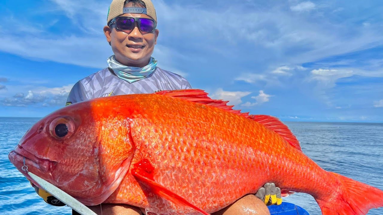 Snapper