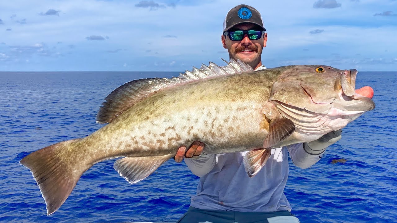 Grouper