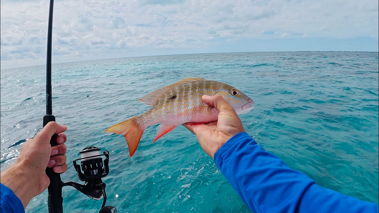 Reef Fishing