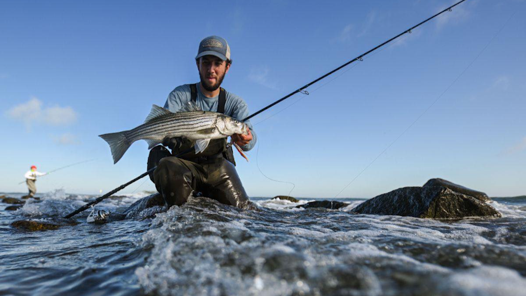 Surf Fishing