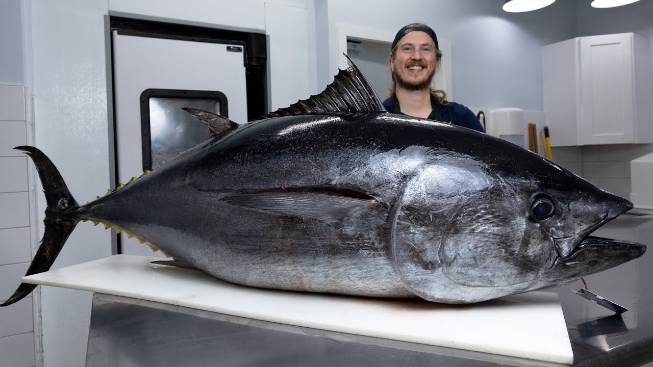 Tuna