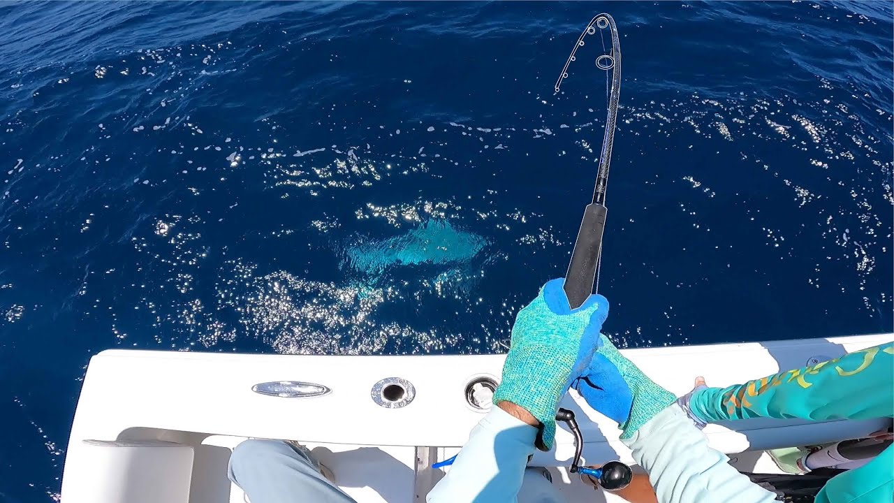 bottom fishing – Fishing Technique