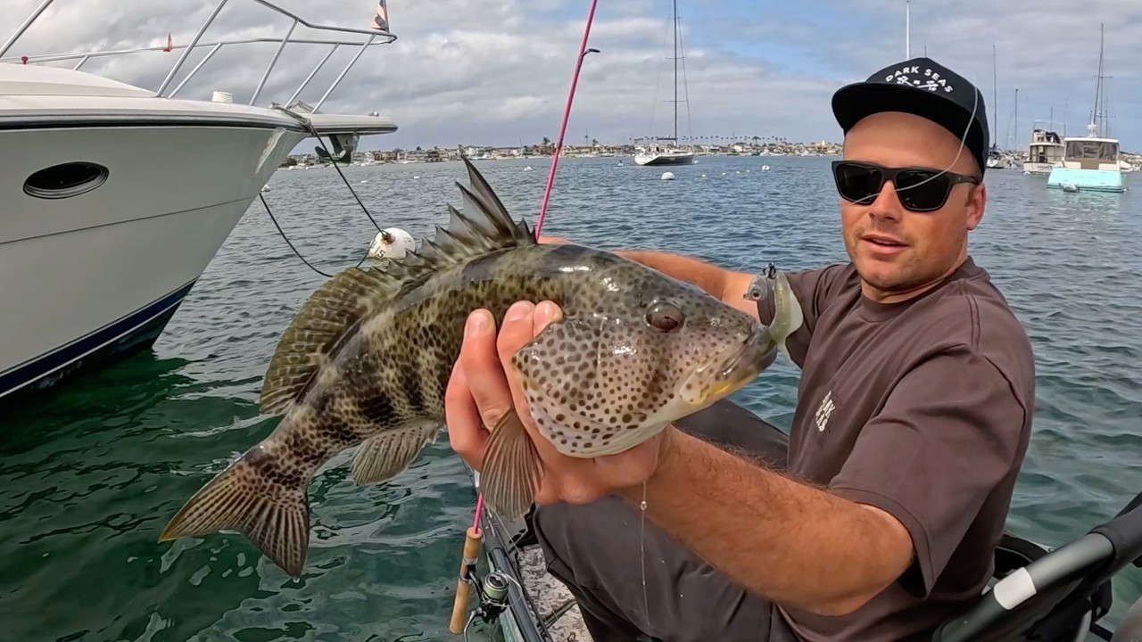 bay fishing – Fishing Technique