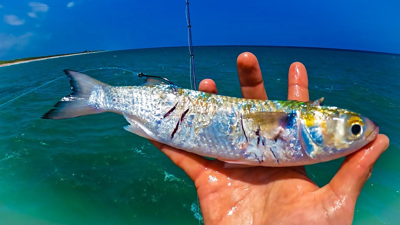 jetty fishing – Fishing Technique