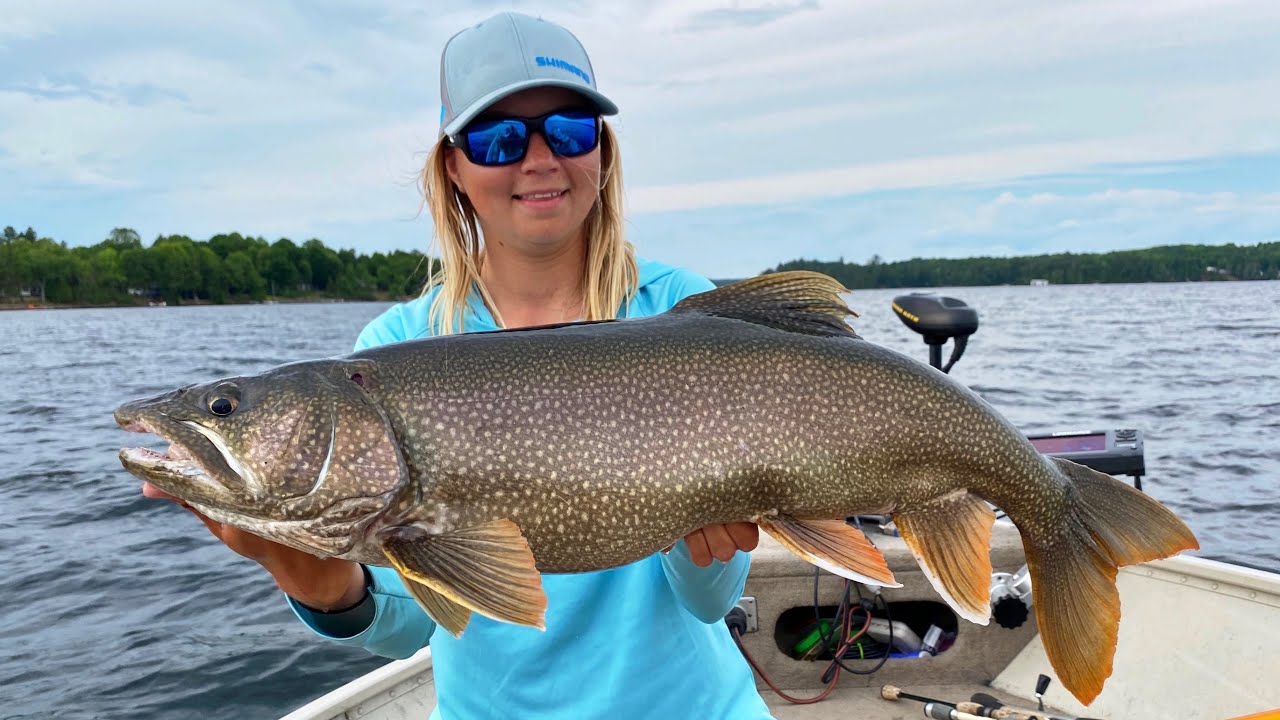 Lake Trout