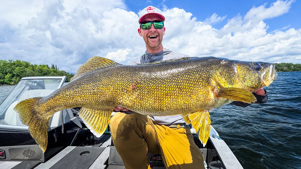 Walleye