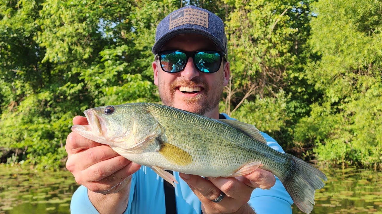 Largemouth Bass