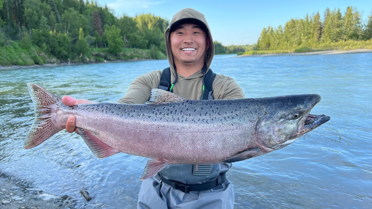 King Salmon