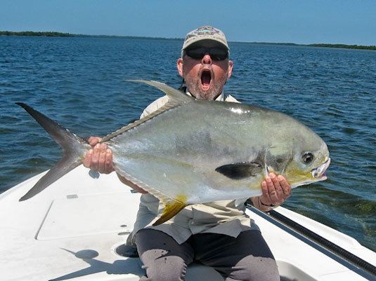 Permit