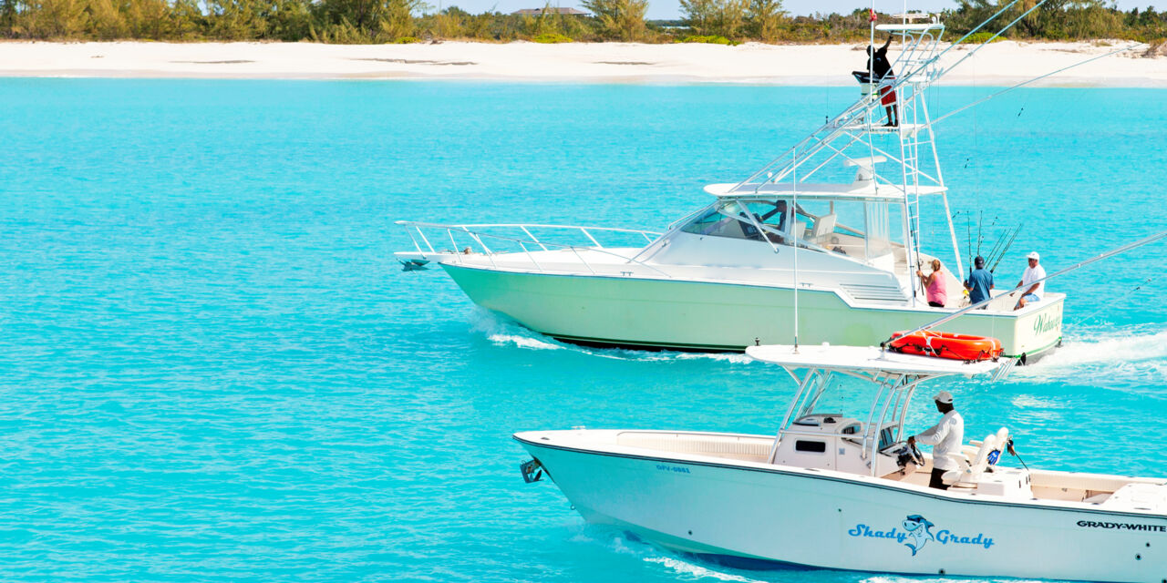 Dauphin Island  Fishing Charters